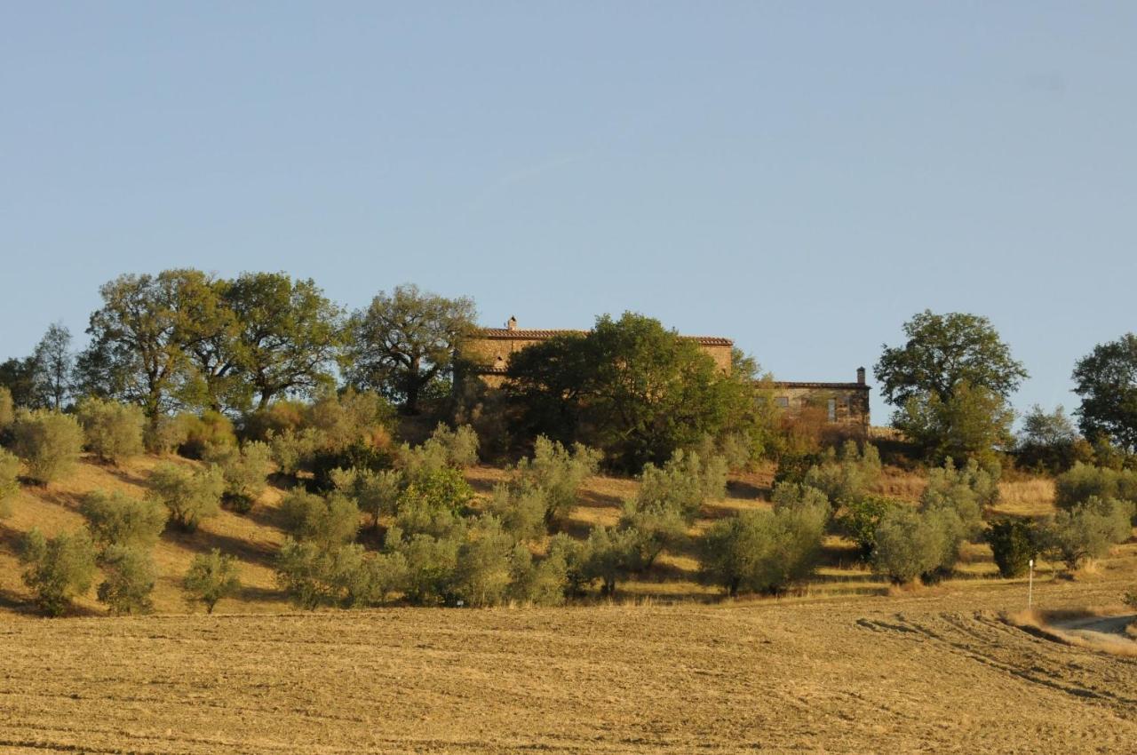 Podere Palazzo Castiglione d'Orcia Luaran gambar
